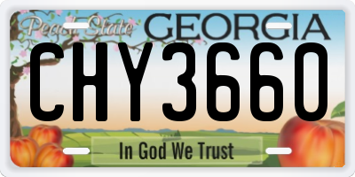 GA license plate CHY3660