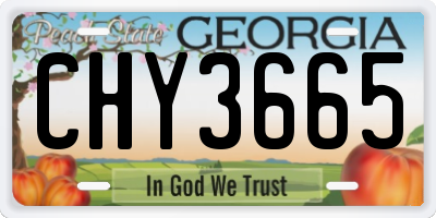 GA license plate CHY3665