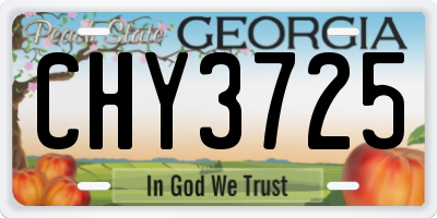 GA license plate CHY3725