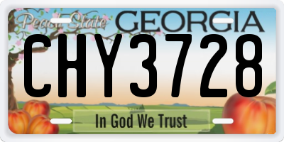 GA license plate CHY3728