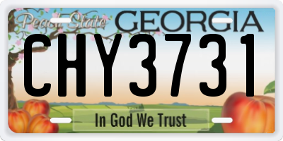 GA license plate CHY3731