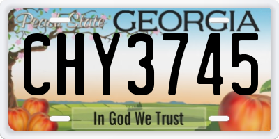 GA license plate CHY3745