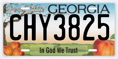 GA license plate CHY3825