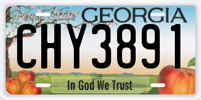 GA license plate CHY3891