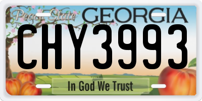 GA license plate CHY3993