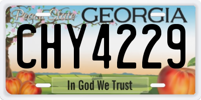 GA license plate CHY4229