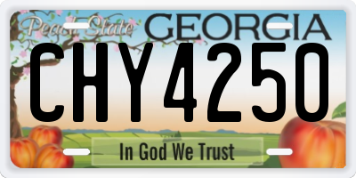 GA license plate CHY4250