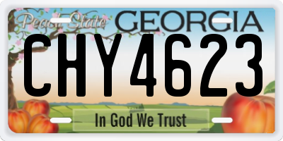 GA license plate CHY4623