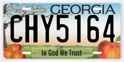 GA license plate CHY5164