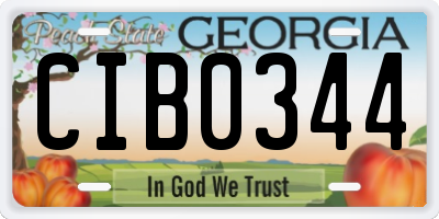 GA license plate CIB0344