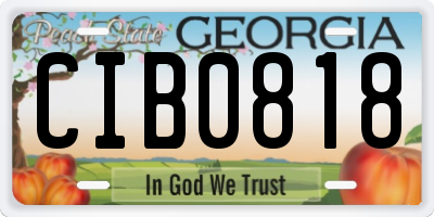 GA license plate CIB0818
