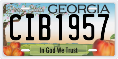 GA license plate CIB1957