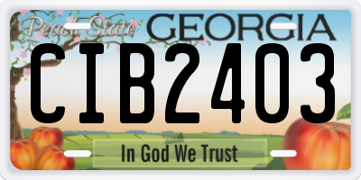 GA license plate CIB2403