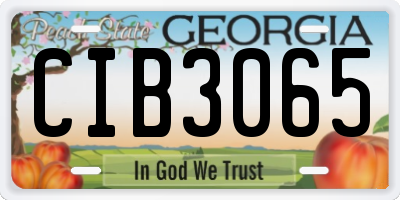 GA license plate CIB3065