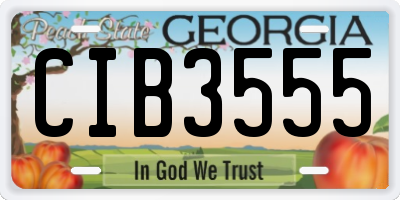 GA license plate CIB3555