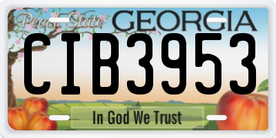 GA license plate CIB3953