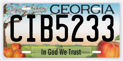 GA license plate CIB5233
