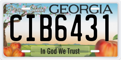 GA license plate CIB6431