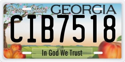 GA license plate CIB7518