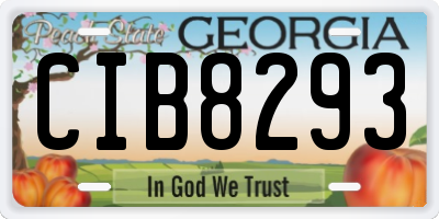 GA license plate CIB8293
