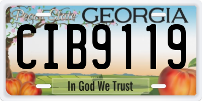 GA license plate CIB9119