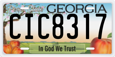 GA license plate CIC8317