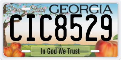 GA license plate CIC8529