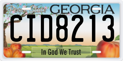 GA license plate CID8213
