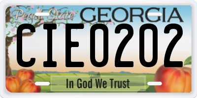 GA license plate CIE0202