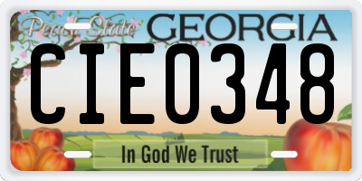 GA license plate CIE0348