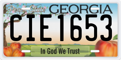 GA license plate CIE1653