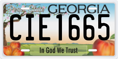 GA license plate CIE1665