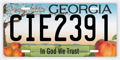 GA license plate CIE2391