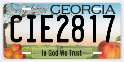 GA license plate CIE2817