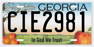 GA license plate CIE2981