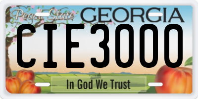GA license plate CIE3000