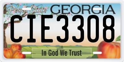 GA license plate CIE3308