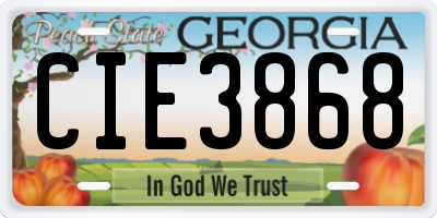 GA license plate CIE3868