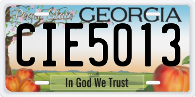 GA license plate CIE5013