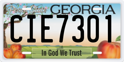GA license plate CIE7301