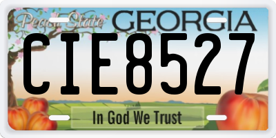 GA license plate CIE8527