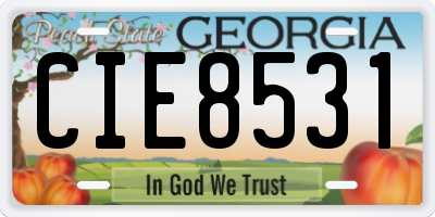 GA license plate CIE8531