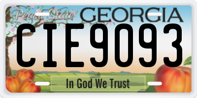 GA license plate CIE9093