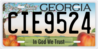 GA license plate CIE9524