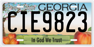 GA license plate CIE9823