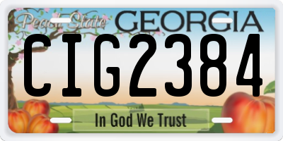 GA license plate CIG2384
