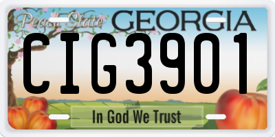 GA license plate CIG3901