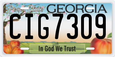 GA license plate CIG7309