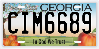 GA license plate CIM6689