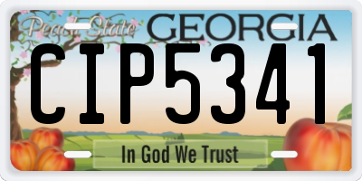 GA license plate CIP5341